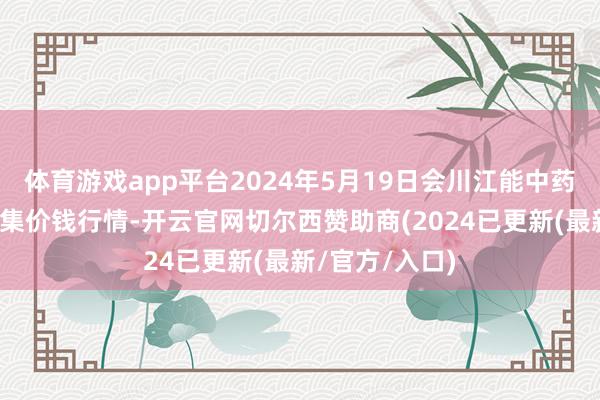 体育游戏app平台2024年5月19日会川江能中药材概括交易市集价钱行情-开云官网切尔西赞助商(2024已更新(最新/官方/入口)