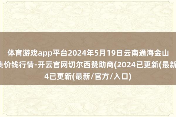 体育游戏app平台2024年5月19日云南通海金山蔬菜批发市集价钱行情-开云官网切尔西赞助商(2024已更新(最新/官方/入口)