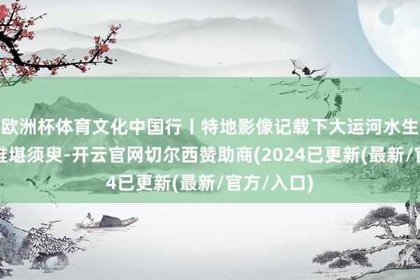 欧洲杯体育文化中国行丨特地影像记载下大运河水生态还原的难堪须臾-开云官网切尔西赞助商(2024已更新(最新/官方/入口)