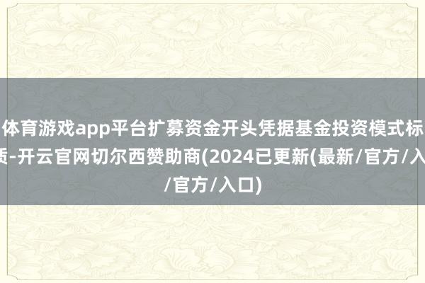 体育游戏app平台扩募资金开头凭据基金投资模式标性质-开云官网切尔西赞助商(2024已更新(最新/官方/入口)