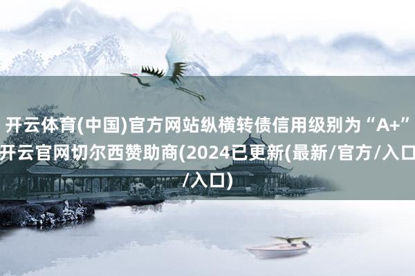 开云体育(中国)官方网站纵横转债信用级别为“A+”-开云官网切尔西赞助商(2024已更新(最新/官方/入口)