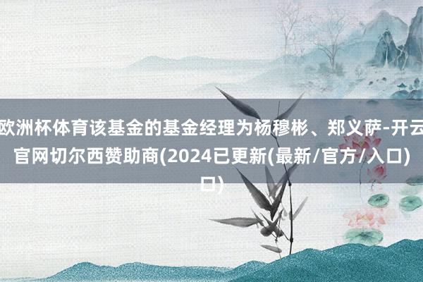 欧洲杯体育该基金的基金经理为杨穆彬、郑义萨-开云官网切尔西赞助商(2024已更新(最新/官方/入口)