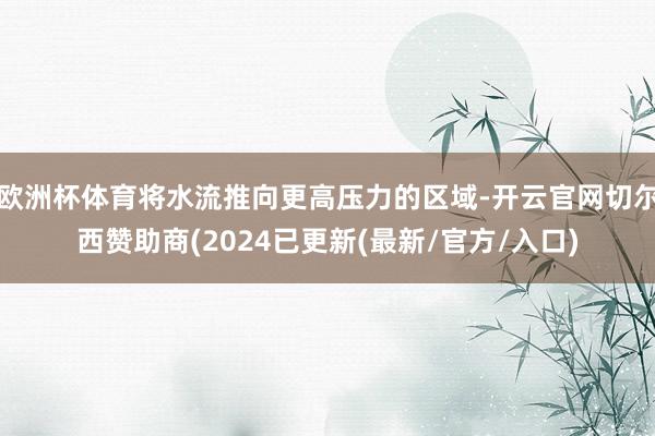 欧洲杯体育将水流推向更高压力的区域-开云官网切尔西赞助商(2024已更新(最新/官方/入口)