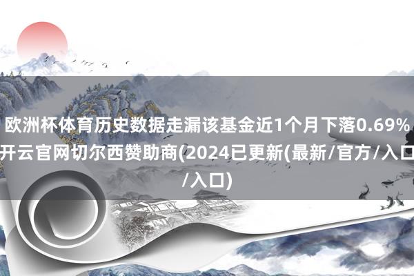 欧洲杯体育历史数据走漏该基金近1个月下落0.69%-开云官网切尔西赞助商(2024已更新(最新/官方/入口)