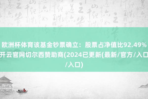 欧洲杯体育该基金钞票确立：股票占净值比92.49%-开云官网切尔西赞助商(2024已更新(最新/官方/入口)