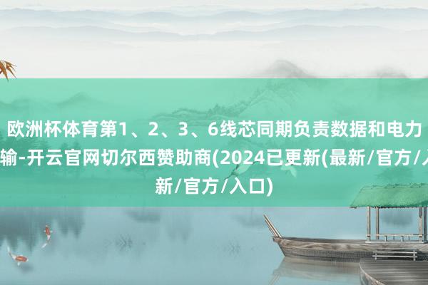 欧洲杯体育第1、2、3、6线芯同期负责数据和电力的传输-开云官网切尔西赞助商(2024已更新(最新/官方/入口)